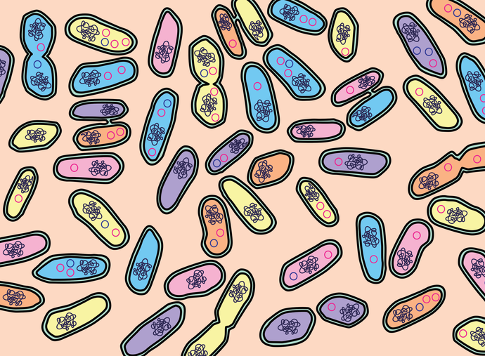 Designer Probiotics for Healthier Microbiomes